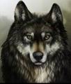 Werewolf
